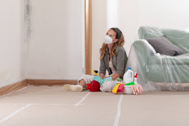 Reliable Mold Removal contractor in Fork, MD by WQB Mold Removal